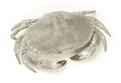 crab